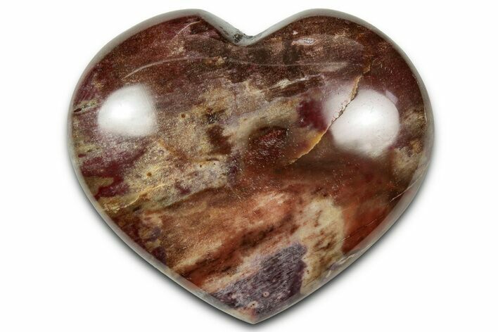 Polished Triassic Petrified Wood Heart - Madagascar #355633